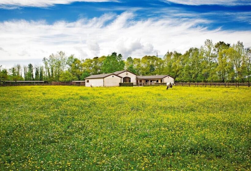 Al Segnavento Fiori&frutti