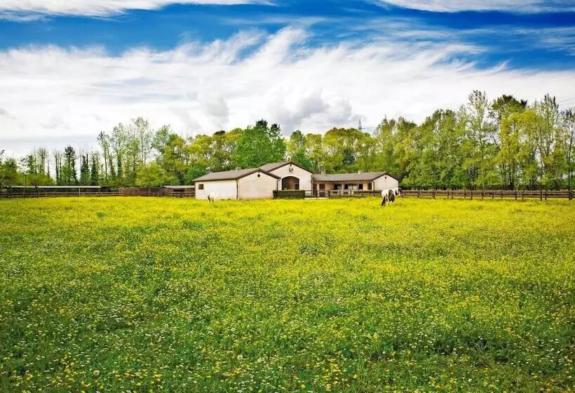 Al Segnavento   Fiori&frutti