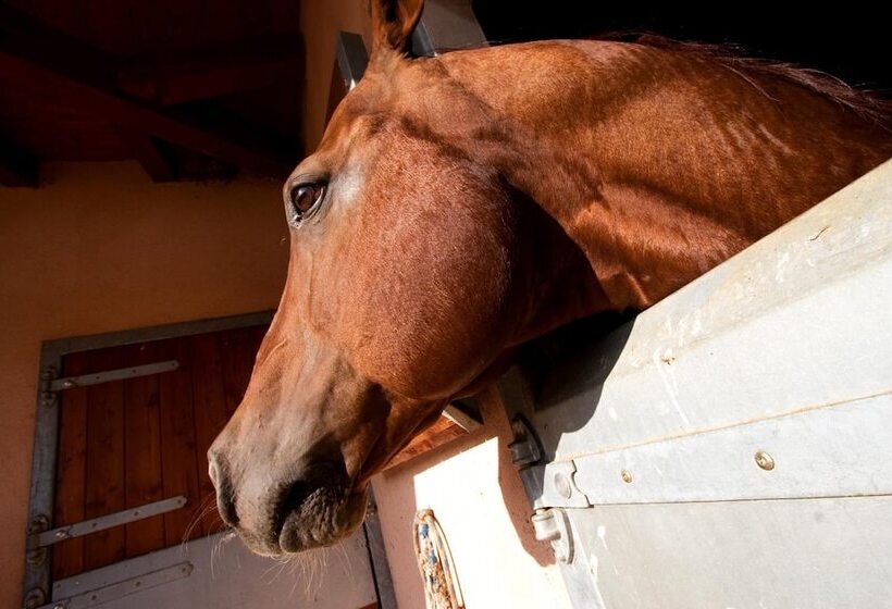 Al Segnavento Fiori&frutti