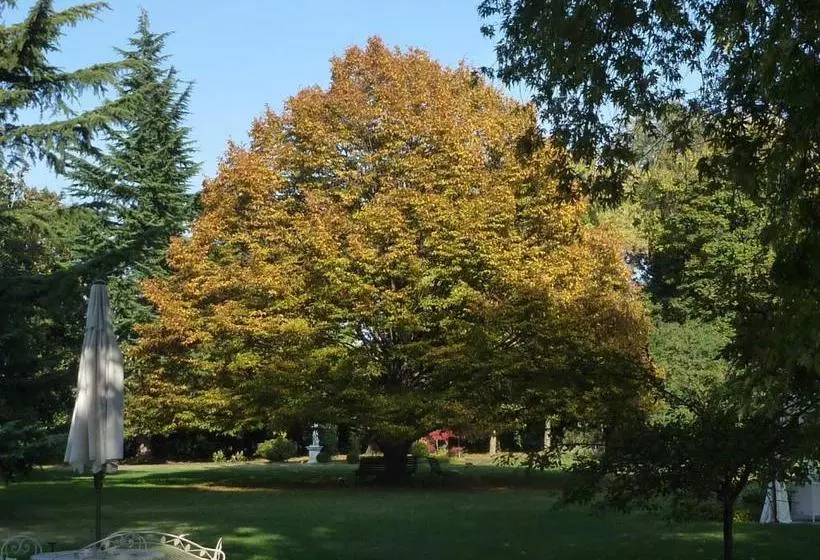 Bed and Breakfast Villa Zane