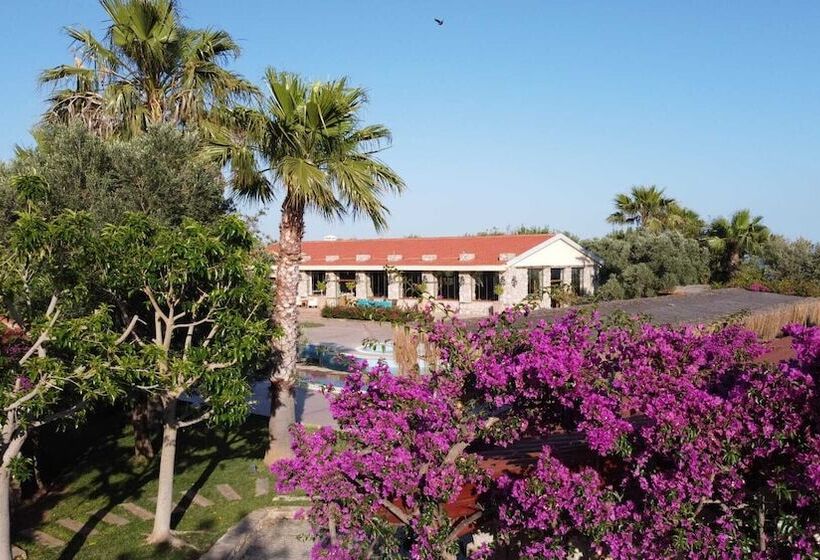 Hotel Flow Datca Surf & Beach