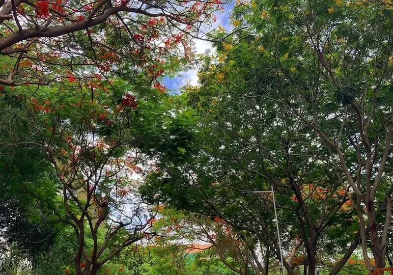 호텔 Hyatt Hyderabad Gachibowli