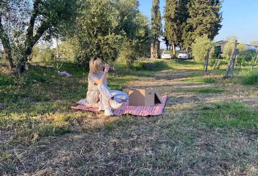 ホテル Il Castagnolo Country B&b