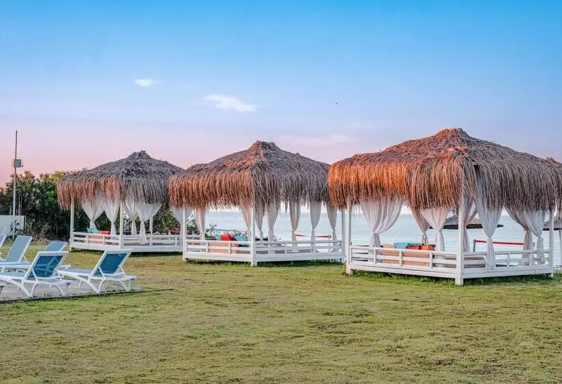 ホテル Selectum Colours Side