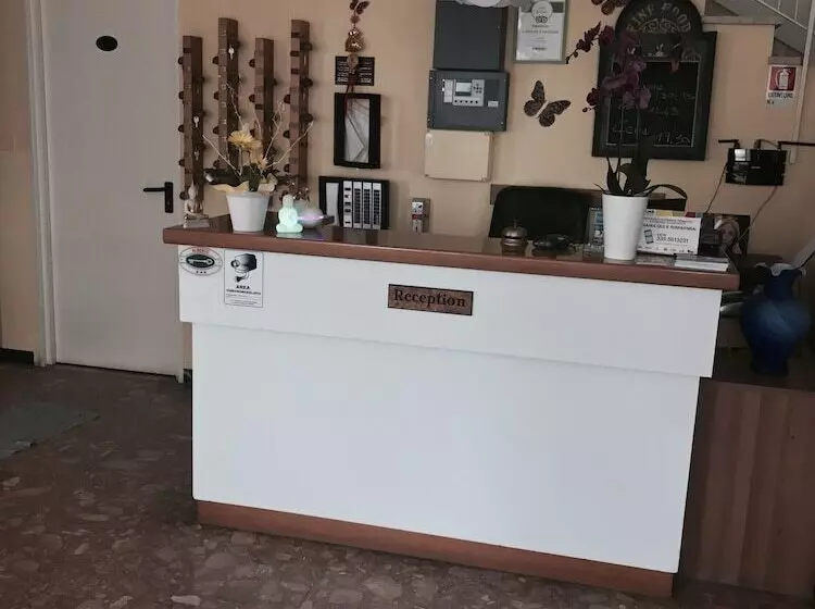 Отель Nova Dhely