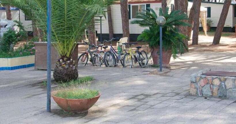 리조트 Camping&village Le Cernie