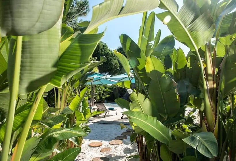 Kurort  Regnum Carya