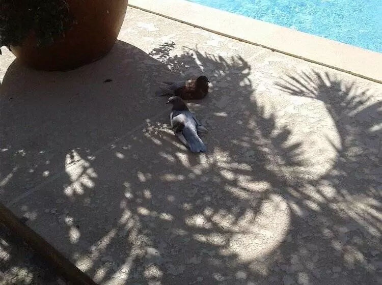 هتل Clock Tower Guest House