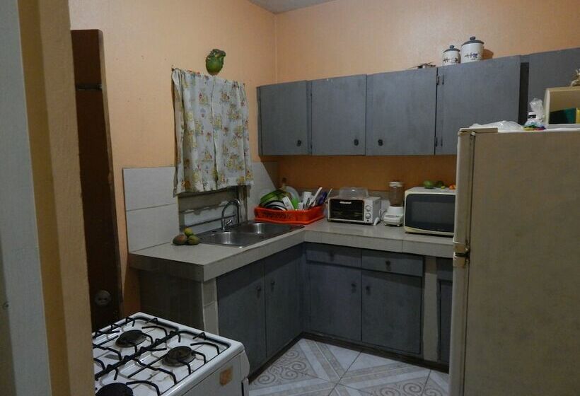 هتل Lion S Pride Hostel