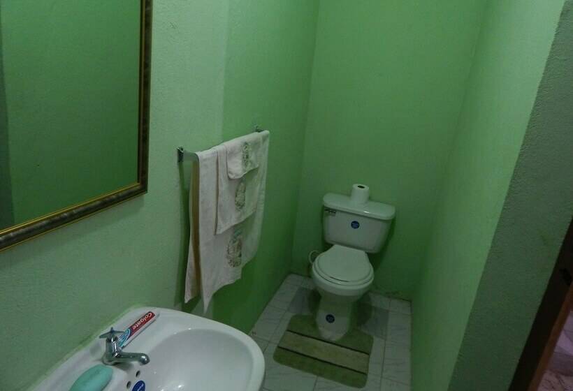 هتل Lion S Pride Hostel