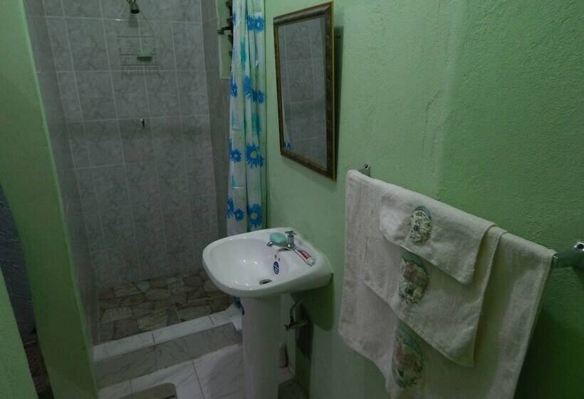 هتل Lion S Pride Hostel