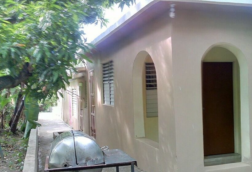 هتل Lion S Pride Hostel