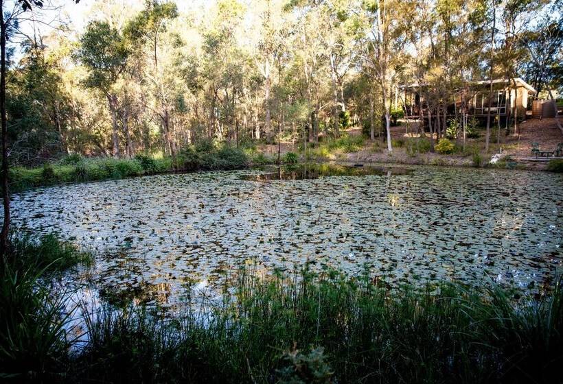 Отель Mt Cotton Retreat