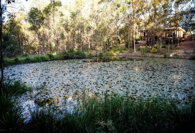 ホテル Mt Cotton Retreat