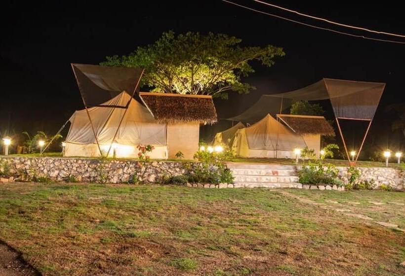 בית מלון כפרי The Acacia Glamping Park