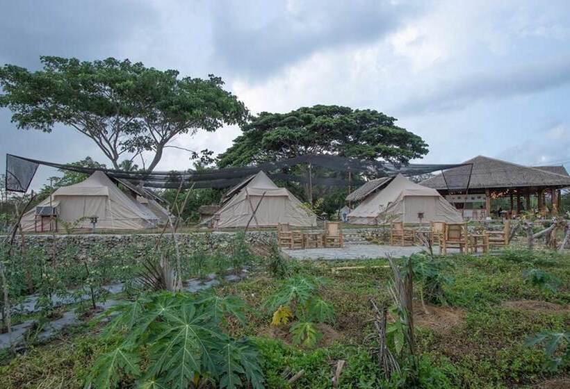 בית מלון כפרי The Acacia Glamping Park