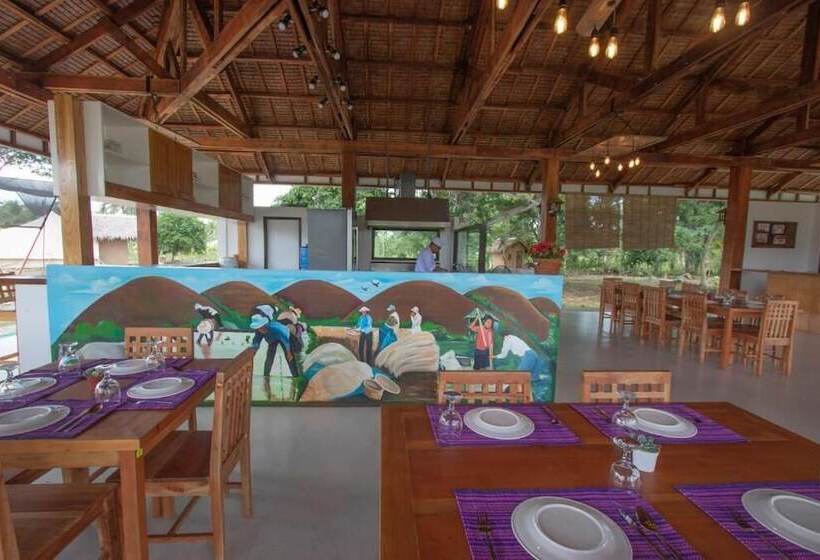 בית מלון כפרי The Acacia Glamping Park