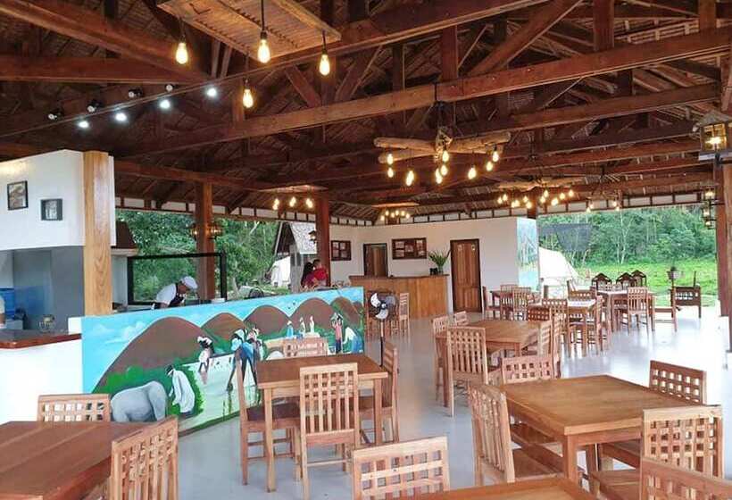 בית מלון כפרי The Acacia Glamping Park