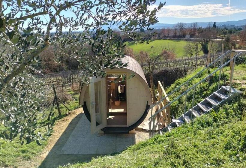 Bed and Breakfast Il Casale Di Sandra