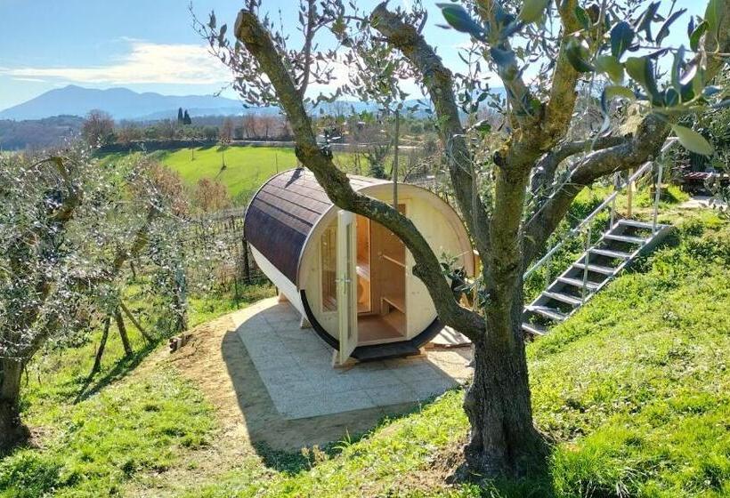 Bed and Breakfast Il Casale Di Sandra