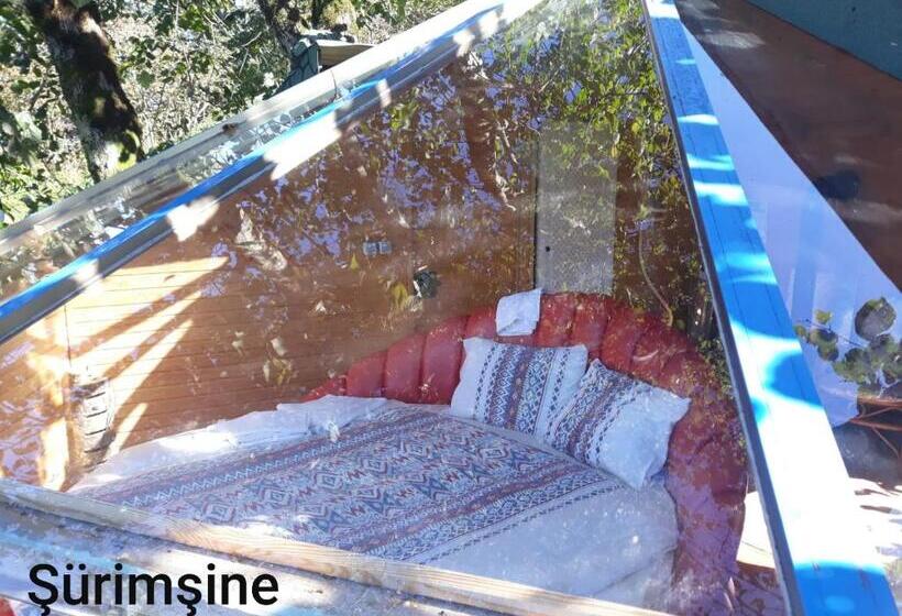 ベッドアンドブレックファースト Olimbera Köy Evi