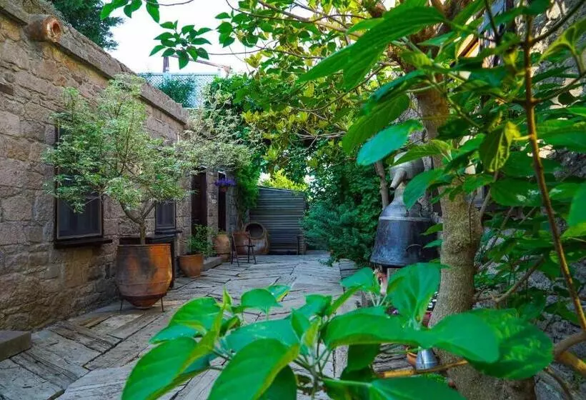 ホテル Biber Evi Assos