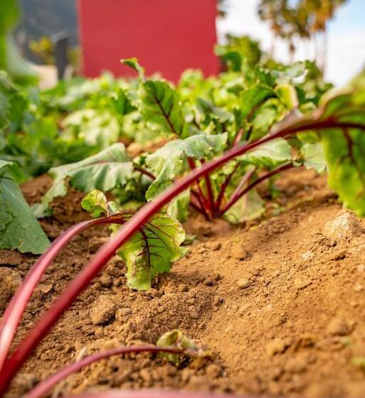 هتل Quinta Vale Vitis