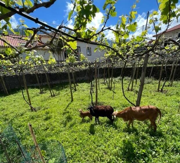 هتل Quinta Vale Vitis