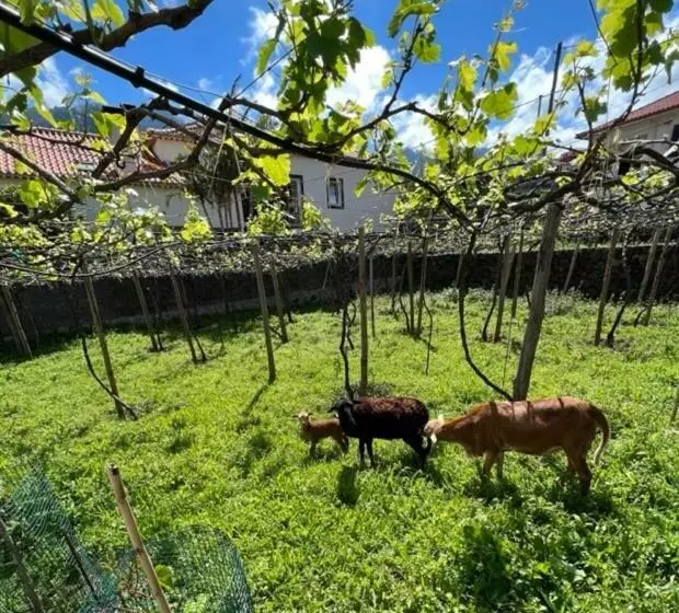 Hotelli Quinta Vale Vitis