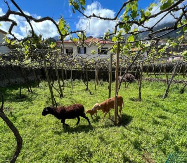 هتل Quinta Vale Vitis