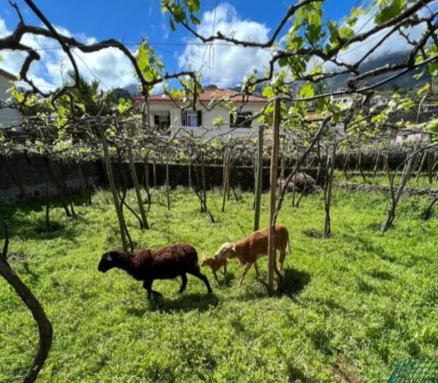 Hotelli Quinta Vale Vitis