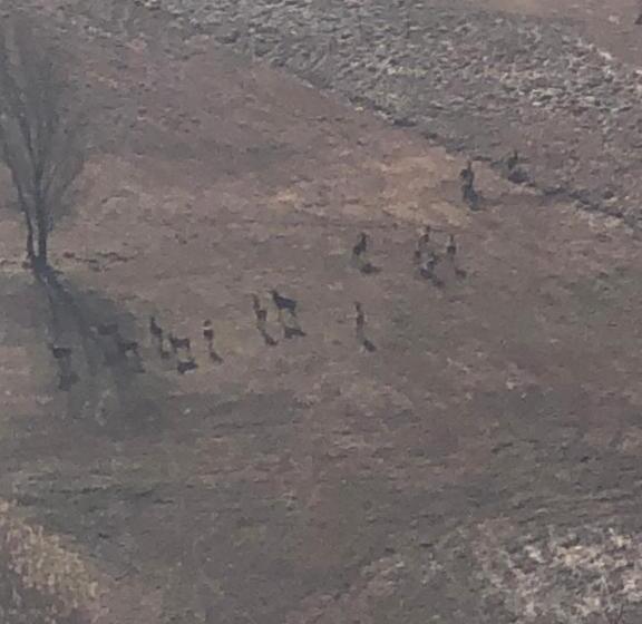 Nocleg ze śniadaniem Adeline