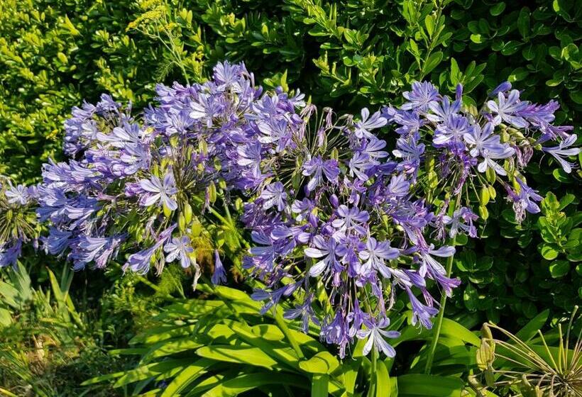 住宿加早餐 La Minoterie Studio Avec Kitchenette Et Chambre D Hôtes