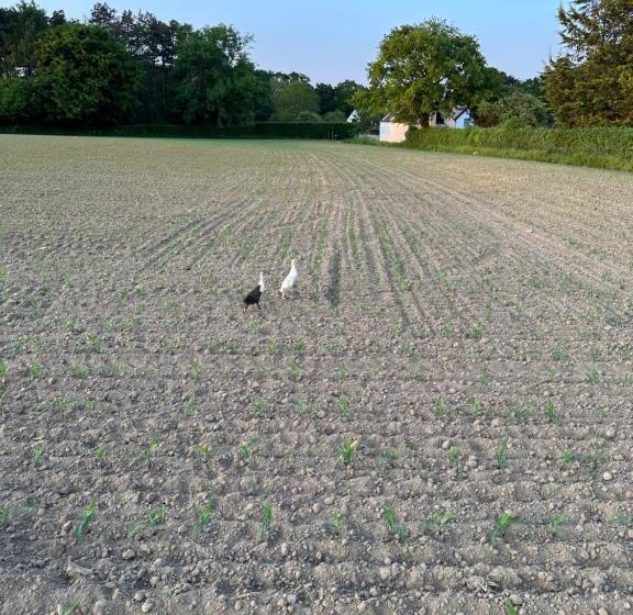 ベッドアンドブレックファースト Le Cottage