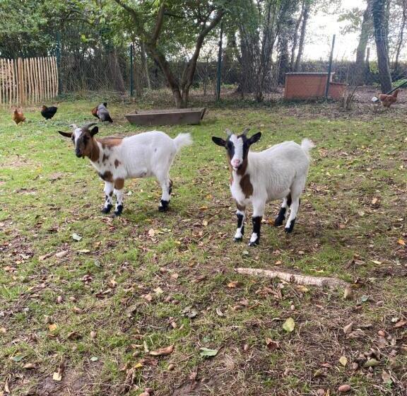 ベッドアンドブレックファースト Le Cottage