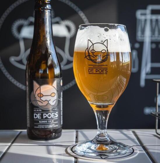 مبيت وإفطار T Een En T Ander