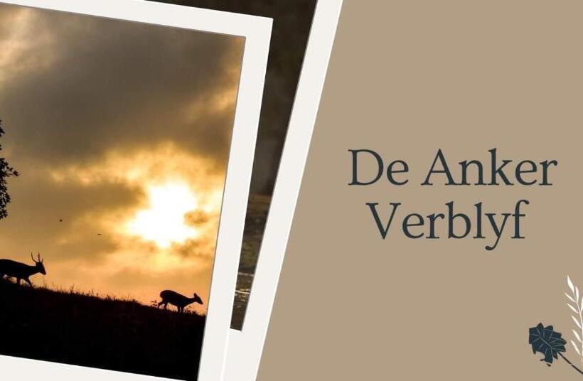 Пансион De Anker Verblyf