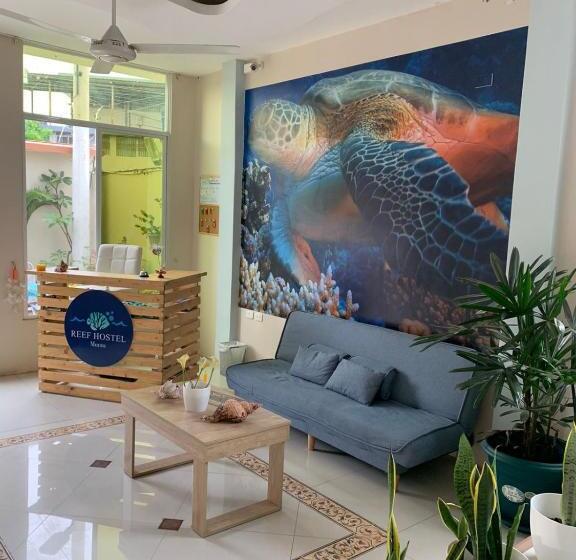Pension Reef Hostel Manta