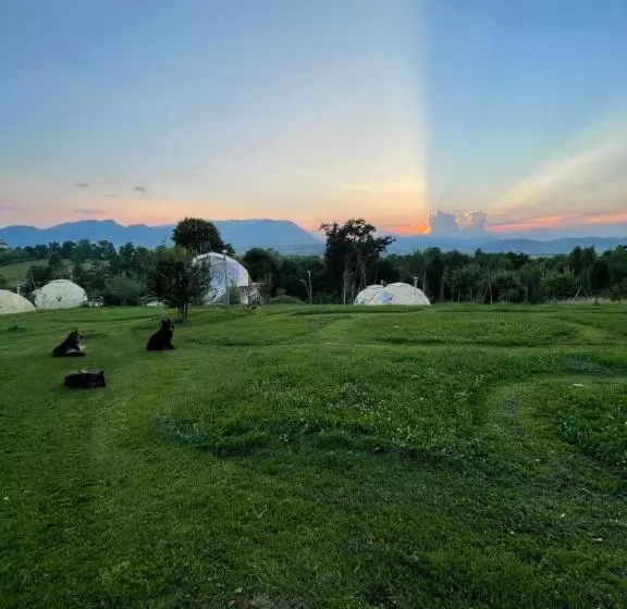 پانسیون Soho Place