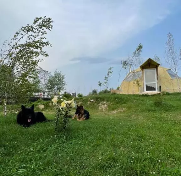 پانسیون Soho Place