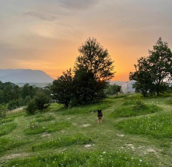 پانسیون Soho Place