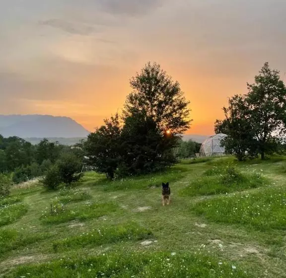 پانسیون Soho Place