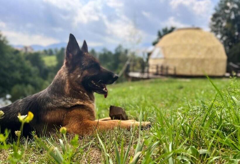 پانسیون Soho Place