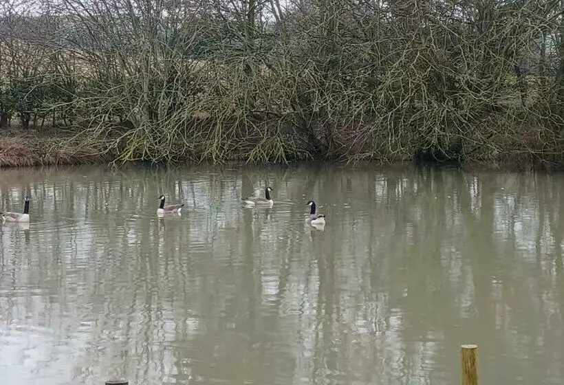 Pensió Stowe Fields