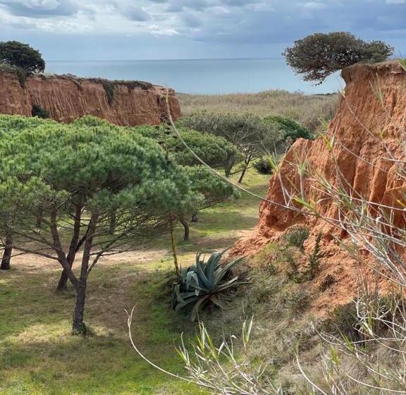 تختخواب و صبحانه Lalita House