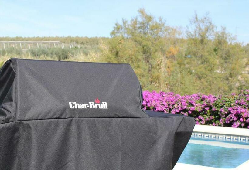 مبيت وإفطار Los Chozones