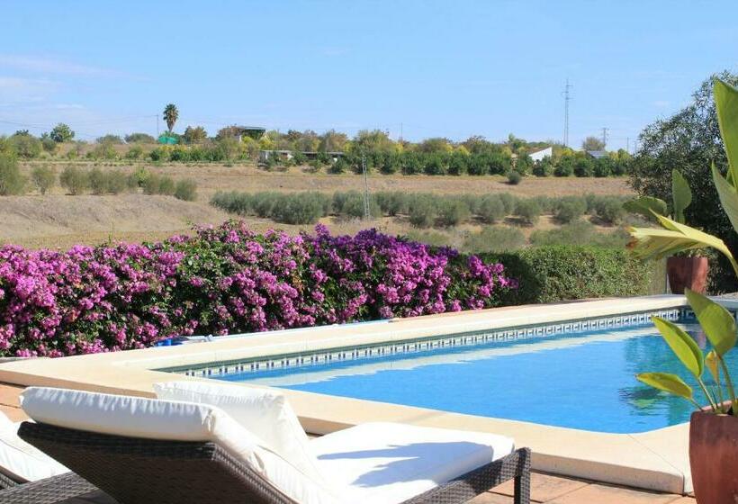 مبيت وإفطار Los Chozones