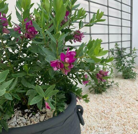 مبيت وإفطار Los Chozones