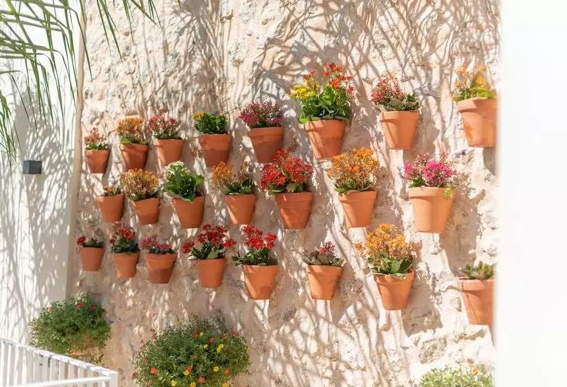 Hotelli Placeta Vella Turismo De Interior