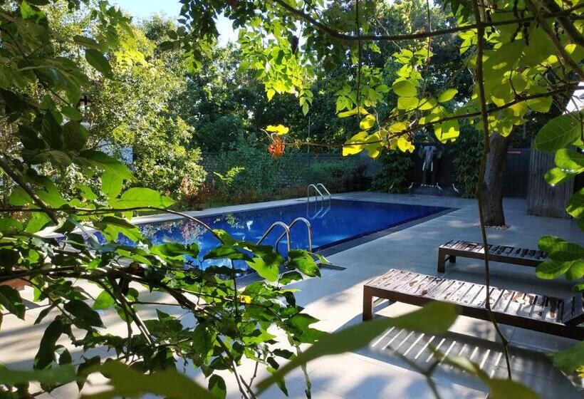 فندق Sigiriya Cashew Palace Resort